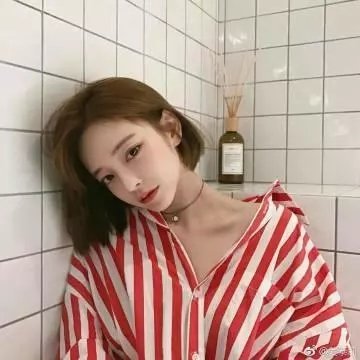斑比遇上哥吉拉