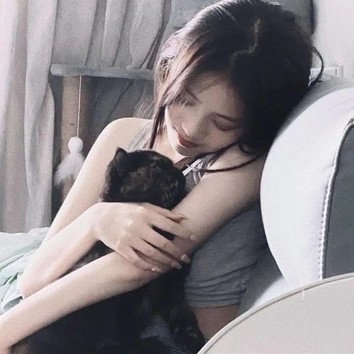 菜鸟新编剧